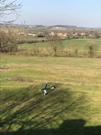 2bbd44c1-0e04-4536-8d2f-42bd3089ca79-img7312