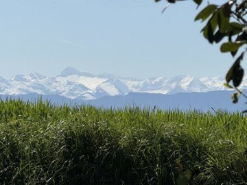 maison-maison-de-campagne-9-pieces-aurignac-3