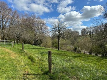 suzanneinfrance-2117-imgimg4311-1