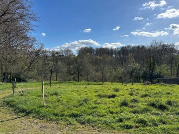 suzanneinfrance-2117-imgimg4337