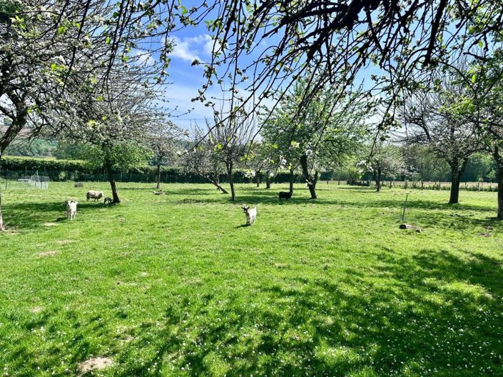 Image No.4-5 Bed Property for sale
