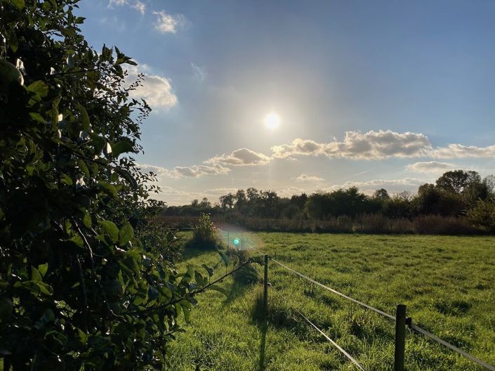 Image No.21-5 Bed Property for sale