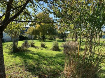 arbres-jardin-30-09-22