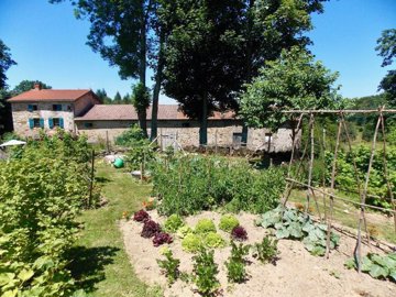 vegitable-garden-in-front-of-house