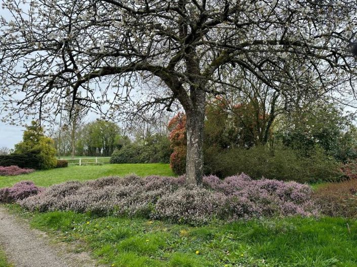Image No.20-4 Bed Property for sale