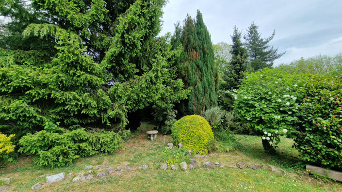 Image No.11-Propriété de 3 chambres à vendre