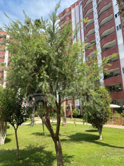 Image No.33-2 Bed Apartment for sale