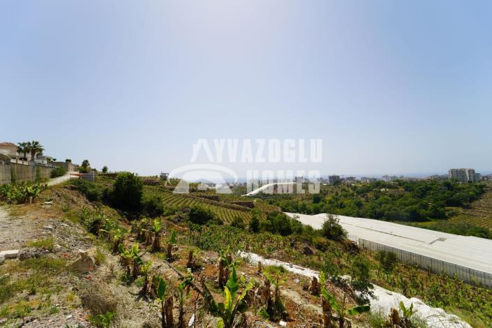 Image No.11-1 Bed Apartment for sale