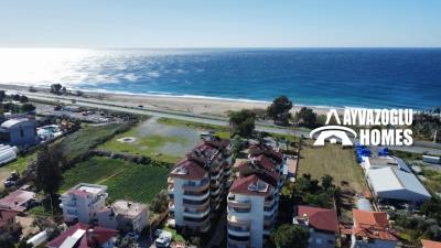 dji_fly_20250206_120340_910_1738832632303_photo_optimized--------