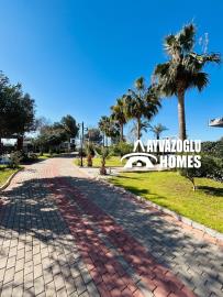 IMG_6033--------