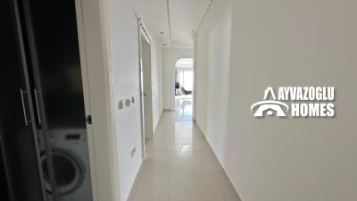 IMG-20250318-WA0049