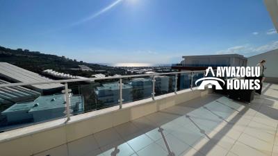 Ayvazoglu Homes Real Estate Agency most sold property
