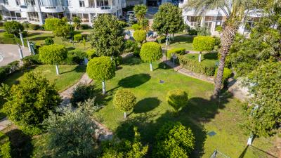 DJI_0877