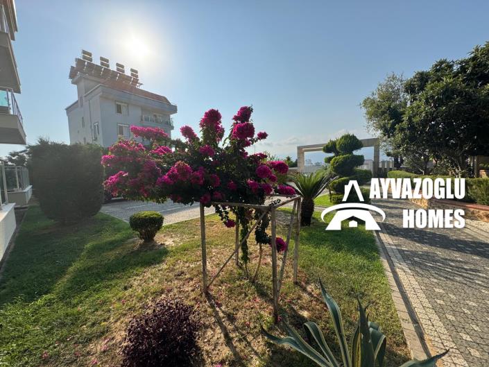 Image No.16-1 Bed Apartment for sale