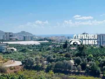 photo_5983588552790886352_y