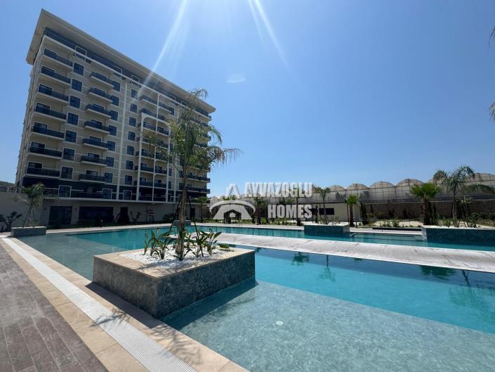 Image No.3-1 Bed Apartment for sale