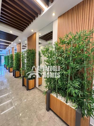 Image No.7-Appartement de 1 chambre à vendre à Tosmur