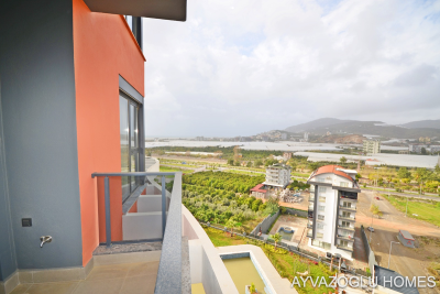 WhatsApp-Image-2026-02-10-at-11-22-49--13-