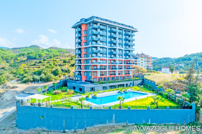 WhatsApp-Image-2026-02-10-at-11-22-49