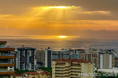 WhatsApp-Image-2026-02-04-at-13-13-34