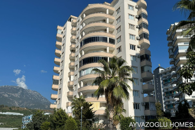 WhatsApp-Image-2026-02-04-at-13-14-17