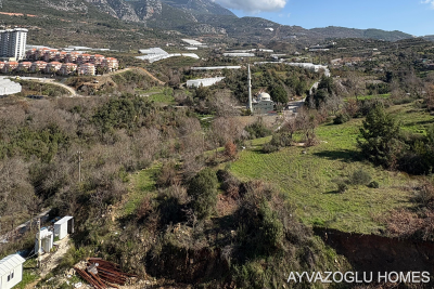 WhatsApp-Image-2026-02-03-at-12-58-50--3-