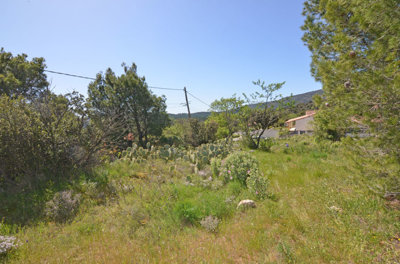 1335cabuildingland1