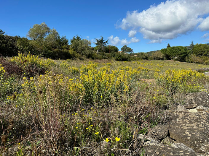 Image No.3-Terre de 1 chambre à vendre à Caunes-Minervois