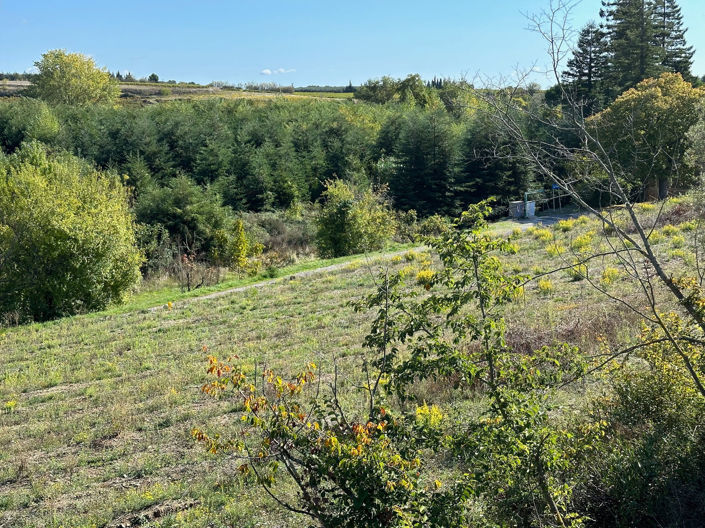 Image No.4-Terre de 1 chambre à vendre à Caunes-Minervois