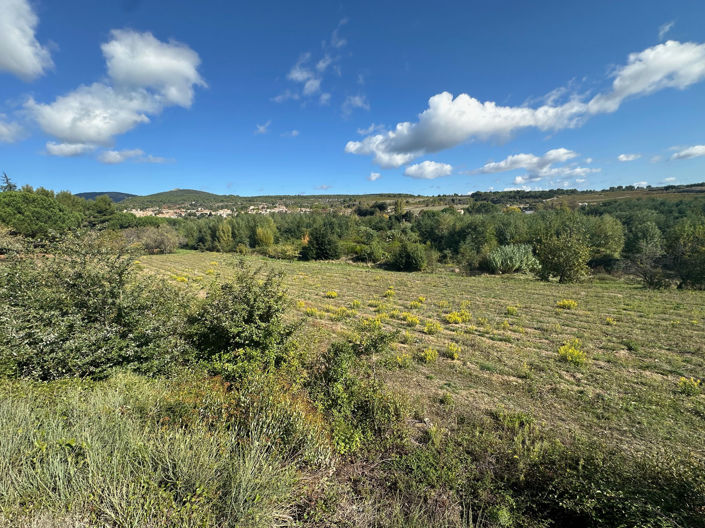 Image No.5-Terre de 1 chambre à vendre à Caunes-Minervois