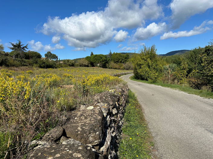 Image No.7-Terre de 1 chambre à vendre à Caunes-Minervois