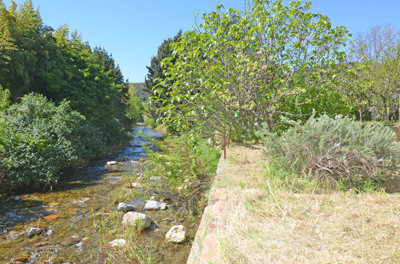 1358cariver