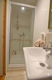 1361cashowerroom