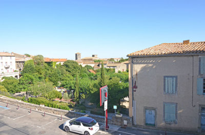 1365castreetview