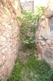 1368caespaceexterieur