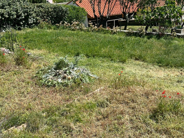 Image No.16-Terre de 1 chambre à vendre à Caunes-Minervois