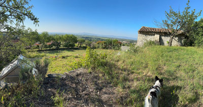 1371caterrainconstructible