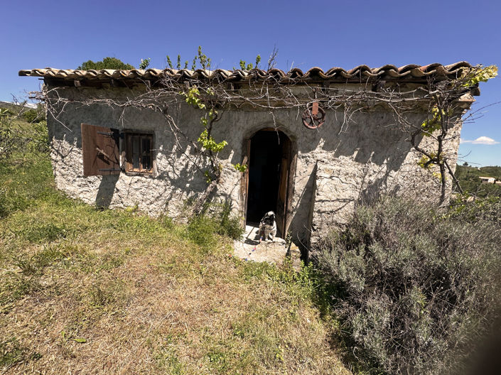 Image No.6-Terre de 1 chambre à vendre à Caunes-Minervois