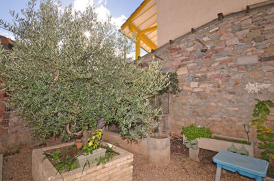 1372caolivieretpoulalier