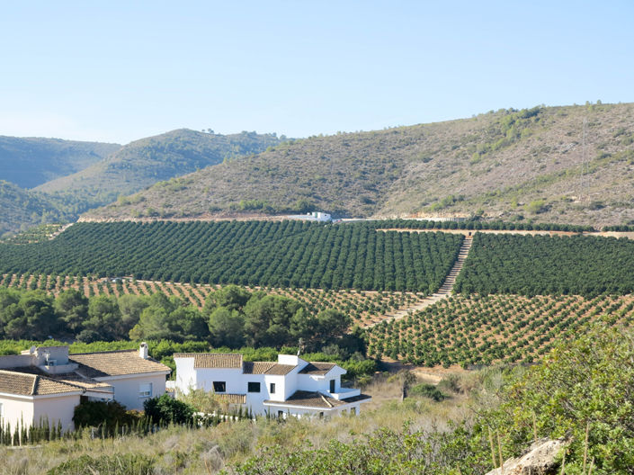 Image No.5-Land for sale