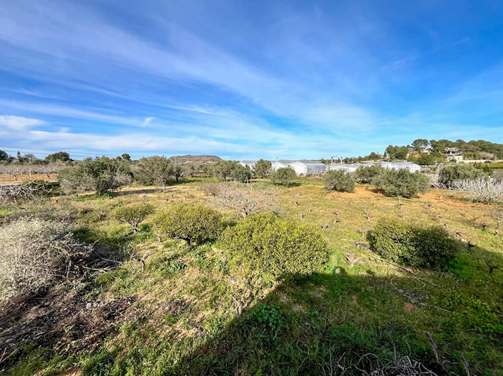 Image No.4-2 Bed Villa for sale