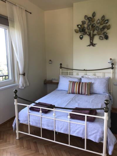 Image No.12-Maison / Villa de 3 chambres à vendre à Plachkovtsi