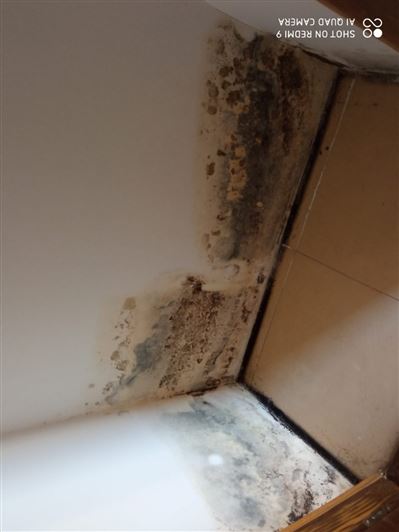 Image No.27-Villa de 2 chambres à vendre à Condado de Alhama