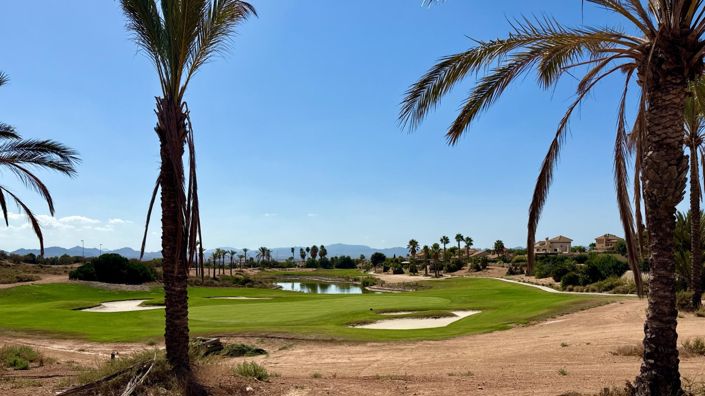 Image No.17-Villa de 3 chambres à vendre à Fuente Álamo