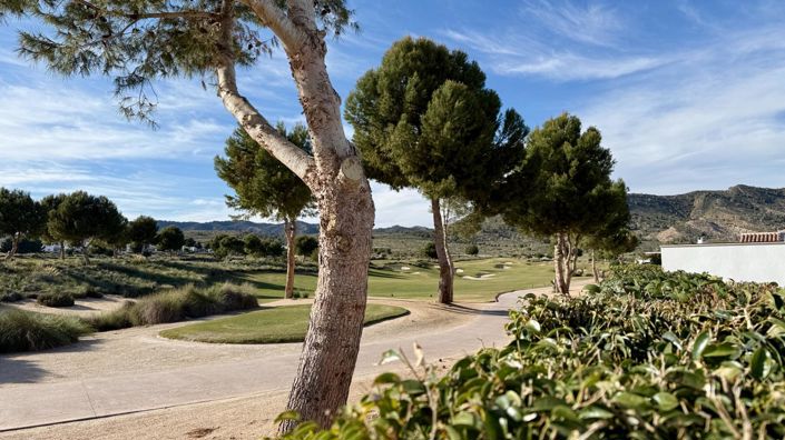 Image No.40-3 Bed Villa for sale