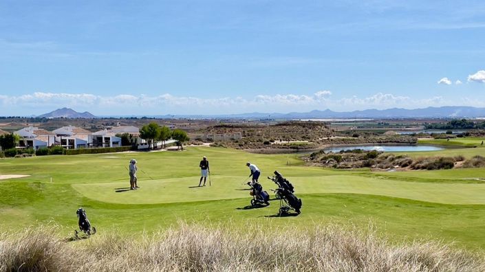 Image No.43-3 Bed Villa for sale