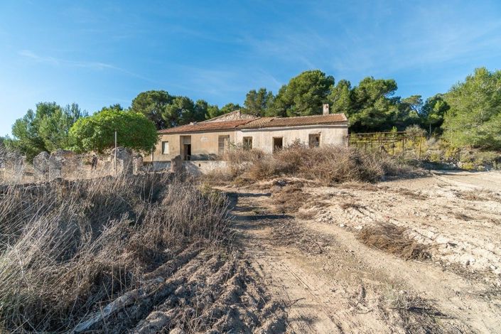 Image No.1-3 Bed Plot for sale