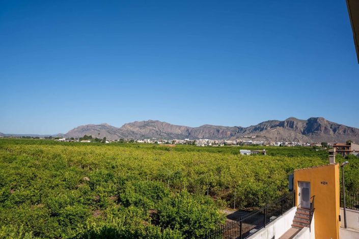 Image No.36-5 Bed Finca for sale