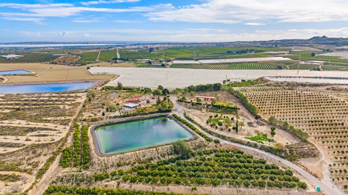 Image No.17-4 Bed Finca for sale