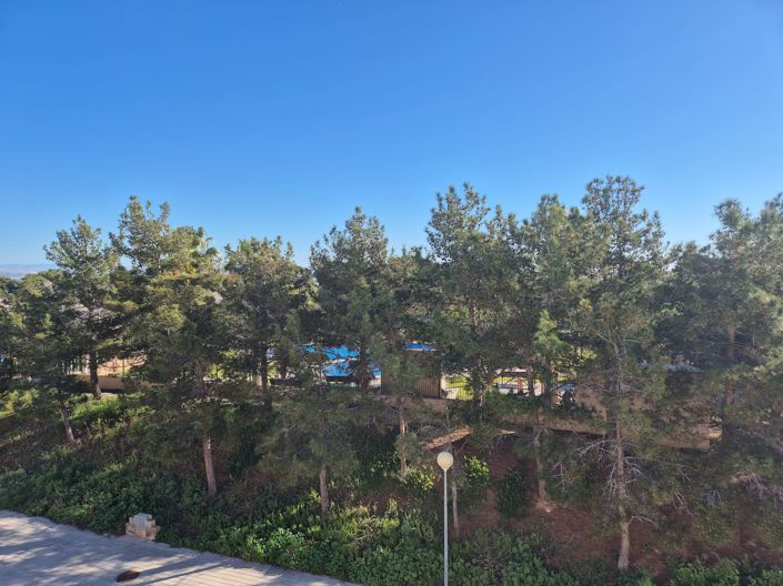 Image No.21-Maison de 3 chambres à vendre à Los Altos